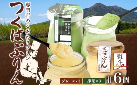 無地熨斗 つくばぷりん プレーン ＆ 抹茶ぷりん 各3個 計6個  [EW026sa]
