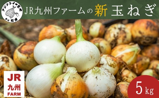 JR九州ファームの 新玉ねぎ 5kg( 玉ねぎ 甘い 野菜 新玉ねぎ 野菜 国産 送料無料 )【B0-195】