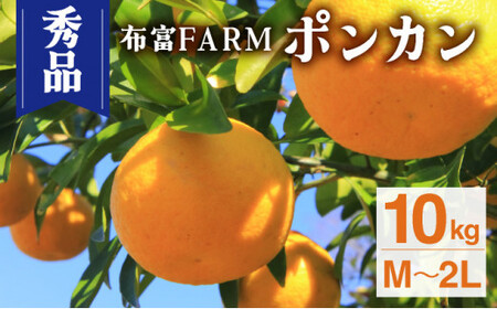 NT2-7-02 ＜先行予約＞【kg数が選べる】秀品ポンカンM〜2L　10kg