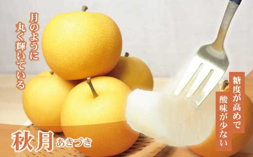 高知県土佐市産 梨（秋月）約2kg 4～5玉 期間限定 あきづき 