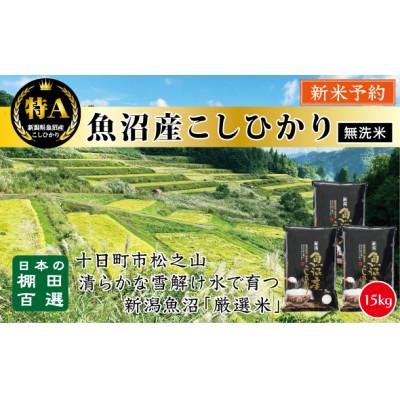 ふるさと納税 十日町市 新米予約【令和8年産】 <無洗米> 日本棚田百選のお米 天空の里・魚沼産こしひかり5kg×3