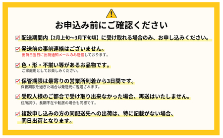 3V3 【春】福岡産あまおう4パック