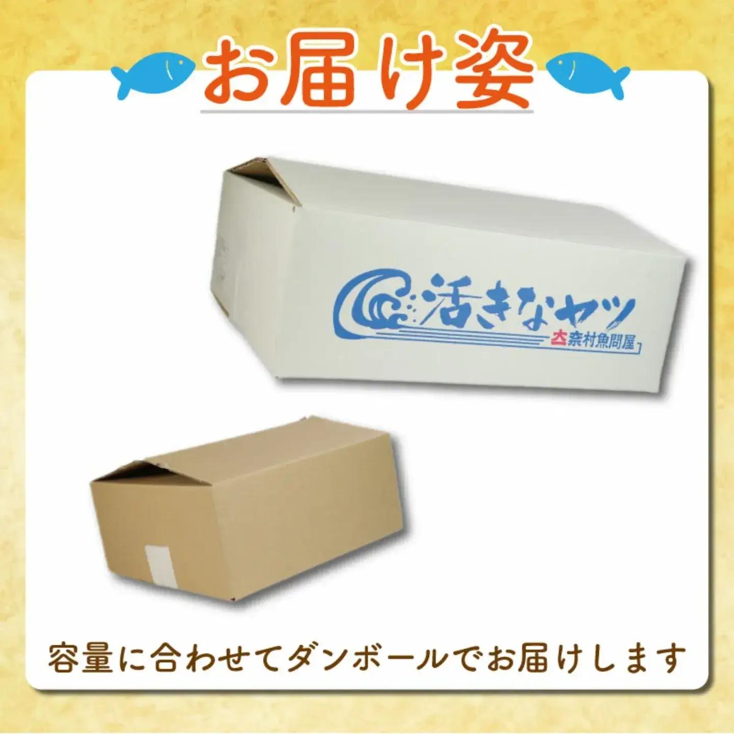 訳あり 塩鯖 500g 鯖