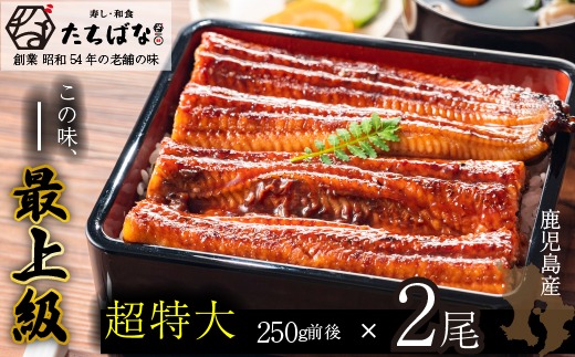 老舗たちばな　鰻蒲焼（250g前後）×2尾