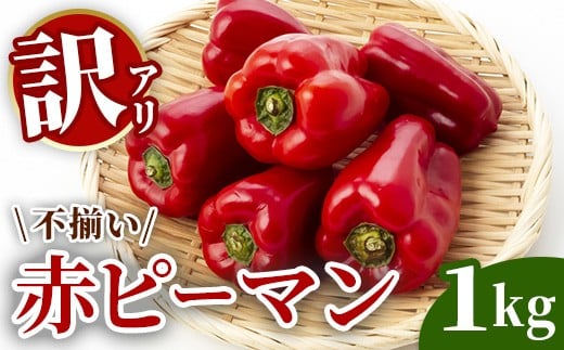 
            先行予約【訳あり】ふぞろい赤ピーマン 1kg《農家直送》【2026年9月から発送予定】 
          