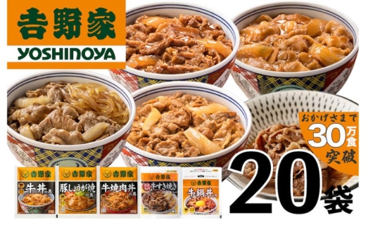 吉野家 人気５種２０袋バラエティセット【冷凍】
