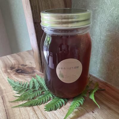 ふるさと納税 山鹿市 【熊本県北山麓はちみつ】日本みつばち菊鹿600g