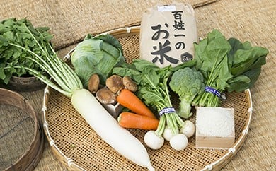 
(015-050)　石井町産美味しい野菜＆お米(6kg）の詰め合わせセット
