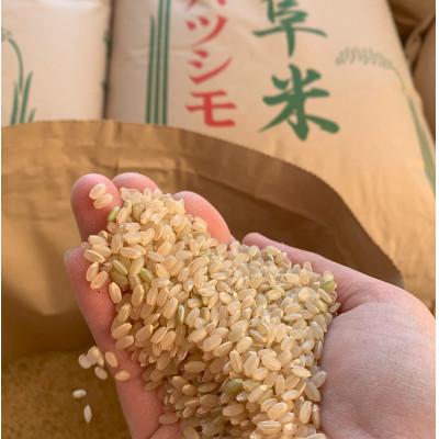 ふるさと納税 大垣市 【令和7年産】れんげハツシモ玄米 15kg |  | 01