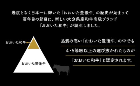 D-07 「おおいた和牛」ステーキ食べ比べセット（モモ・ロース　各160g×1枚）