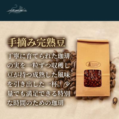 ふるさと納税 福島市 【6回定期便】珈琲 手摘み完熟豆 ブラジル・セラード産 200g×3袋No.3283 |  | 01