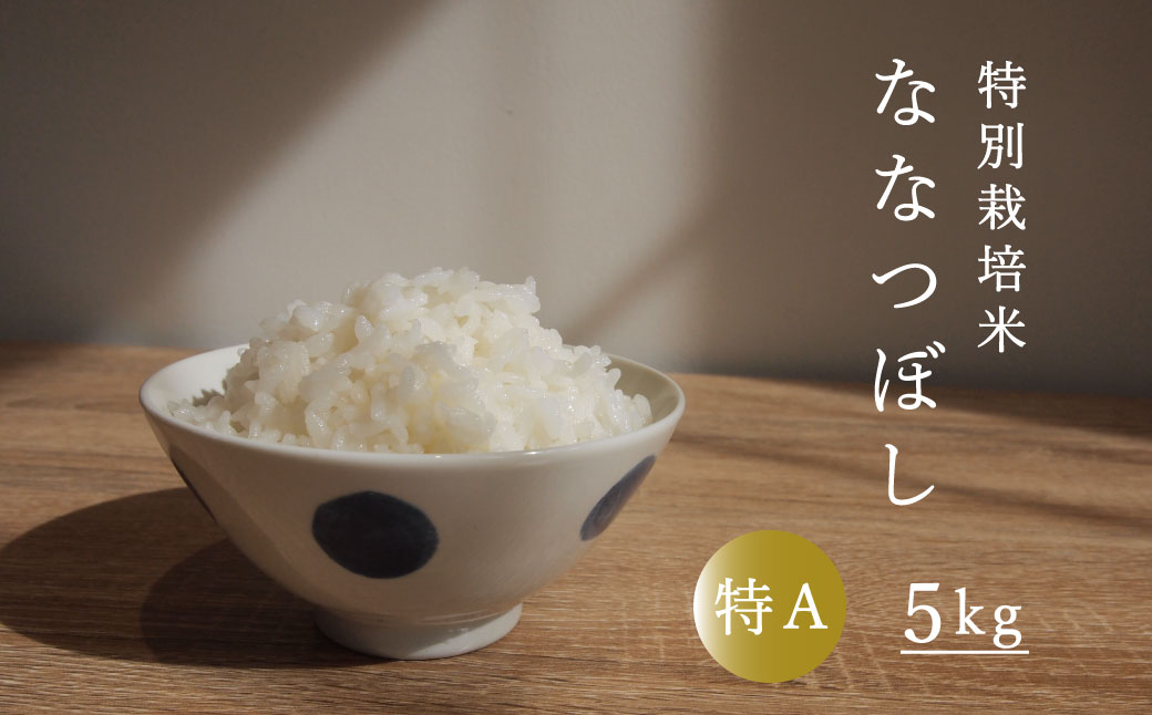 【新米】令和6年産  特別栽培米ななつぼし 5kg 北海道当麻町 舟山農産 減農薬 低農薬【AB-029】