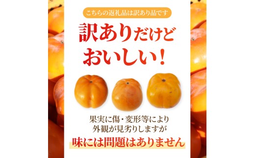 【先行予約】2026年度発送 玉城町産玉城次郎柿 訳あり品 約10kg 【 訳あり 柿 早生次郎柿 フルーツ 果物 甘柿 2026年10月下旬～11月下旬発送 】