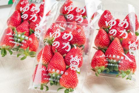 BF106 長崎県知事賞受賞【厳選いちご】「ゆめのか（2L～3L）」260g×4パック＜12月までにお届け＞