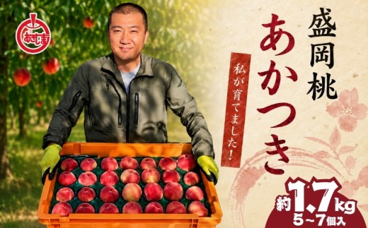 桃 もも 【先行予約】【8月から順次発送】桃 約1.7kg(5~7個) 朝島観光りんご園［asashima001］ 桃 もも モモ momo 高級 フルーツ 果物 くだもの もも 厳選 国産 新鮮 桃 産地直送 桃 おすすめ 人気 お取り寄せ 通販 送料無料 贈答 夏 ギフト 旬 桃 甘い ジューシー 桃 おいしい 桃 あかつき 大玉 桃 ランキング 完熟 高糖度 桃 8月 東北 岩手 盛岡