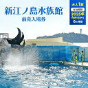 【ふるさと納税】新江ノ島水族館 チケット 前売 入場券 大人 1枚 有効期間2025年4月1日～6ヵ月間 水族館 クラゲ ウミガメ イルカ 湘南 家族 子ども 家族旅行 夫婦旅行 デート 休日 魚 入場券 前売り券 旅行 プレゼント ギフト ふるさと 新江ノ島水族館 神奈川 湘南 藤沢