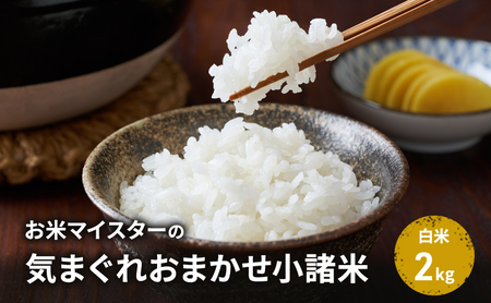 お米マイスターおすすめ小諸米 精米 2kg 信州 長野 ごはん ご飯 コメ コシヒカリ あきたこまち つきあかり 風さやか ひとめぼれ ゆうだい21