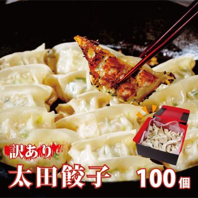 ふるさと納税 常陸太田市 【訳あり】無添加野菜を使用したなごみ家 冷凍 生餃子 100個