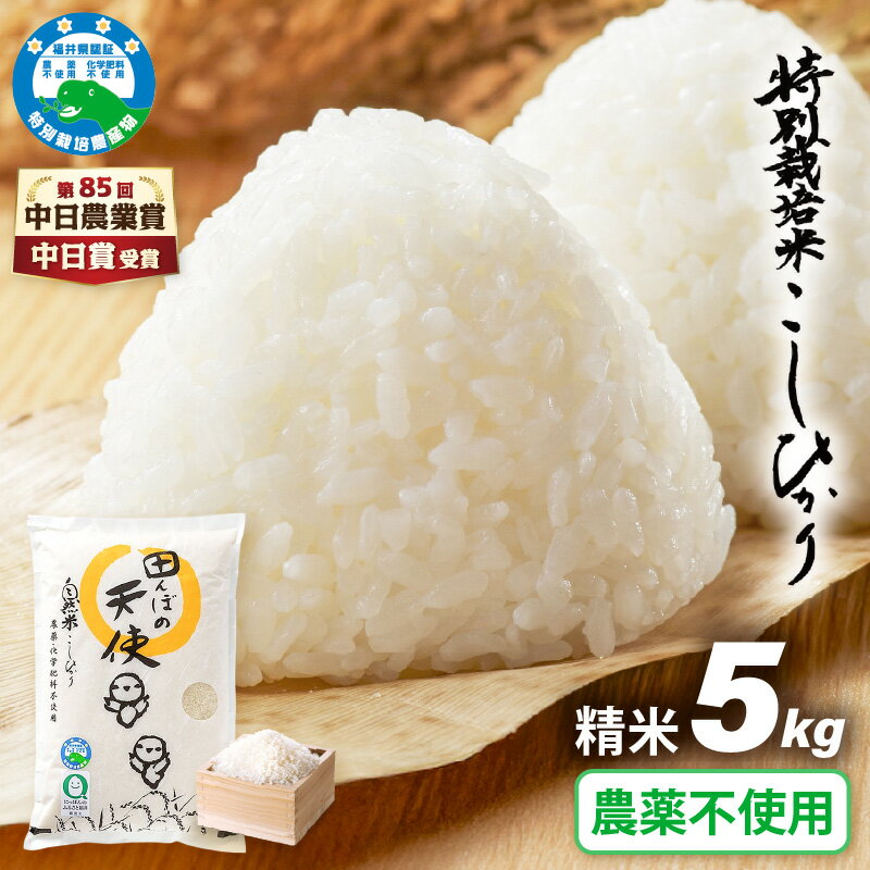 【ふるさと納税】【中日賞受賞】【令和7年産】農薬不使用 特別栽培米コシヒカリ5kg【精米】福井県認証区分1取得「田んぼの天使」越前町【5キロ お米 コメ 農薬化学肥料不使用 送料無料】