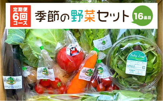 【定期便6回】 季節の野菜セット 16品目_イメージ1