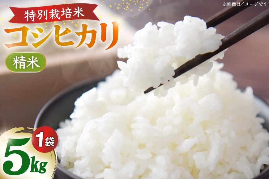 
                  米 令和7年 特別栽培米 コシヒカリ 5kg×1袋 [久保農園 石川県 中能登町 nk17bim770001] お米 こめ コメ kome こしひかり 5キロ 能登 令和7年産 精米
                
