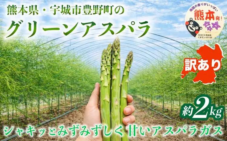  訳あり アスパラガス  約2kg (S～L) 【2026年7月上旬～2026年10月中旬発送予定】