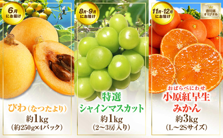 さぬき旬のフルーツ満足 5回定期便 | 果物 フルーツ 青果 青果物 いちご みかん シャインマスカット びわ さぬきひめ 小原紅早生みかん マスカット なつたより 不知火 旬の果物 季節の果物 贈答