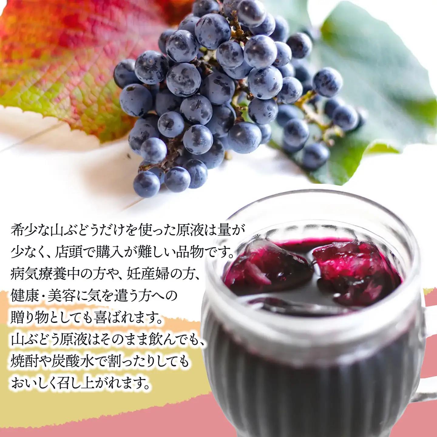 うらやま農園の完熟山ぶどう原液　500ml×２本　山形県鶴岡市　K-844　| やまぶどう 飲料 果汁 飲料 ポリフェノール 贈り物 ギフト お取り寄せ 返礼品