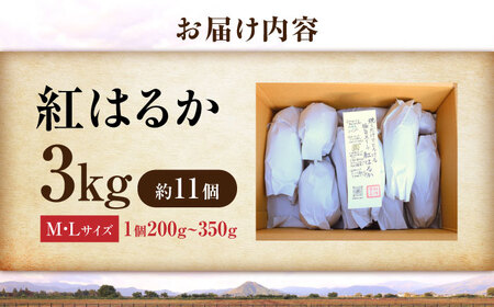 【厳選】紅はるか 3kg 滋賀県長浜市/好作豊吉[AQCF013]