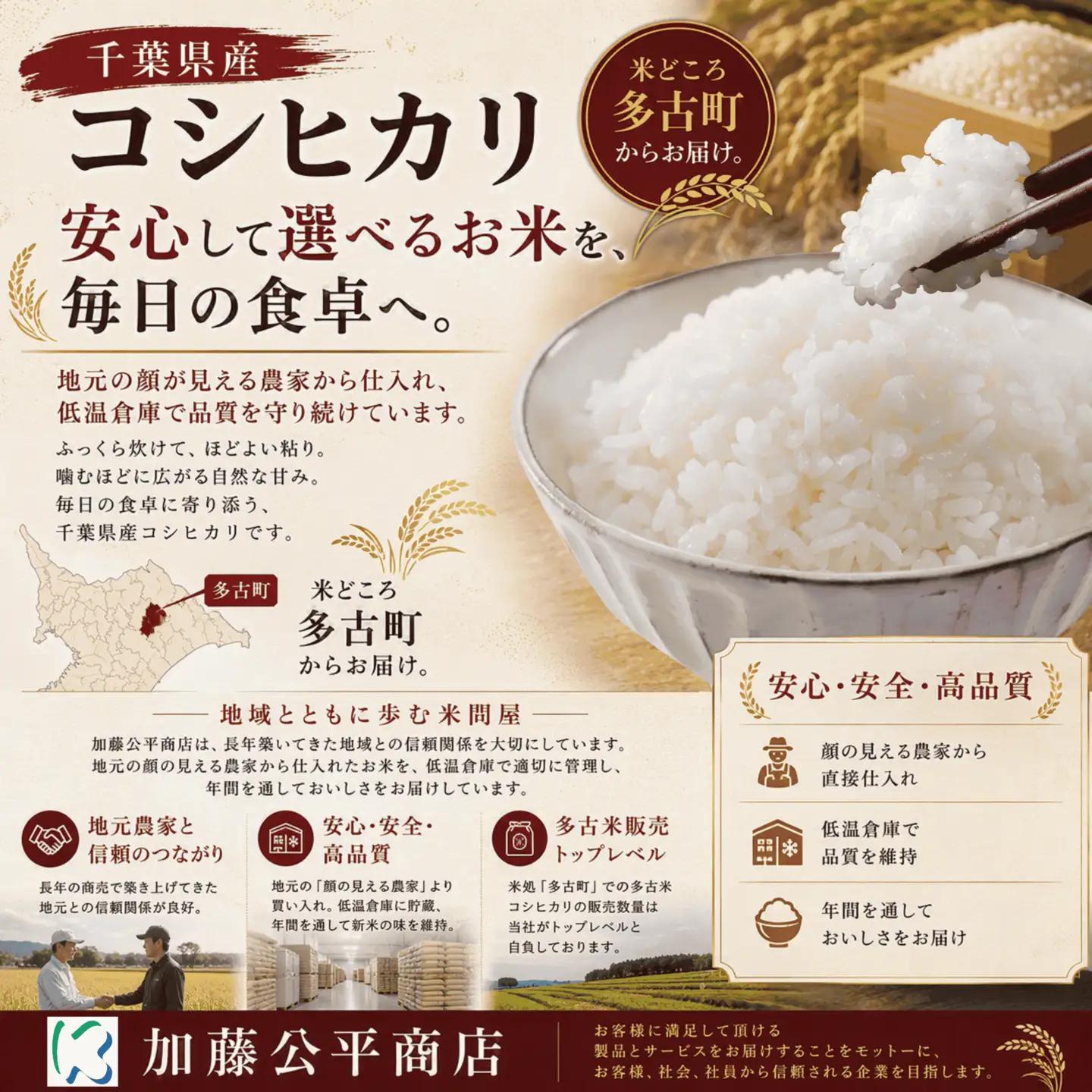 ＜令和7年産＞千葉県産 コシヒカリ 精米 10kg（10kg×1袋）【配送不可地域：離島・沖縄県】MT207674_021001