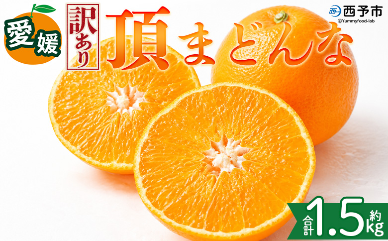 ＜【訳あり】愛媛県産 頂まどんな 約1.5kg＞『2026年11月下旬～1月上旬迄順次発送予定』 わけあり 訳アリ 甘い とろける 食感 ゼリー食感 高級柑橘 みかん 蜜柑 果物 くだもの フルーツ 