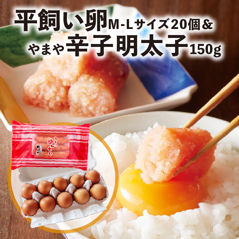 平飼い卵Ｍ〜Ｌサイズ20個 ＆やまや辛子明太子150ｇセット【上毛町特別企画】C01202