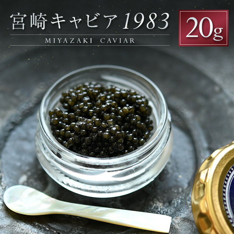 【ふるさと納税】宮崎キャビア1983 計20g 贈答品 高級 魚卵 国産