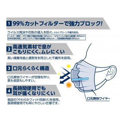 ふるさと納税 さくら市 ハイパーブロックマスク ムレ爽快 ふつうサイズ 30枚×18箱 |  | 01