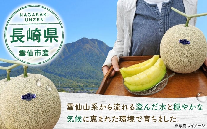 果物 フルーツ 青肉 メロン めろん 長崎 雲仙 甘い お取り寄せ 贈答