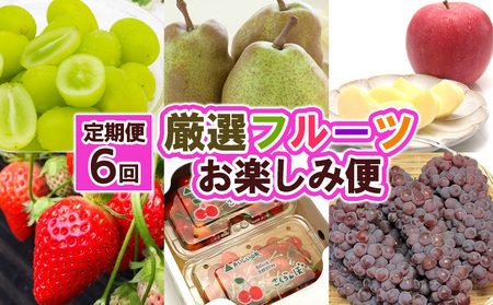【定期便６回】厳選フルーツお楽しみ FZ25-990