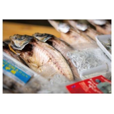 ふるさと納税 須崎市 【産地直送】干物 旬のおまかせ 詰め合わせセット