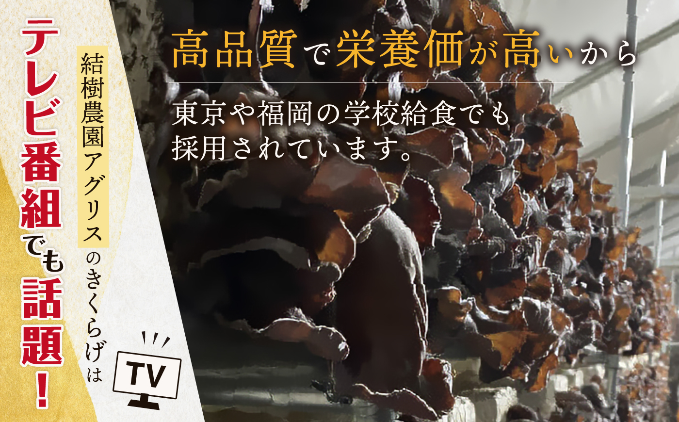 結樹農園アグリス めんたいきくらげ300g×5P ≪糸島市≫【結樹農園アグリス】きくらげ/国産/明太/明太子 [AAJ003]