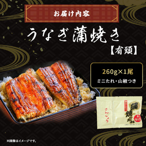 四万十うなぎ蒲焼き【260g x 1本】 ／Esu-40