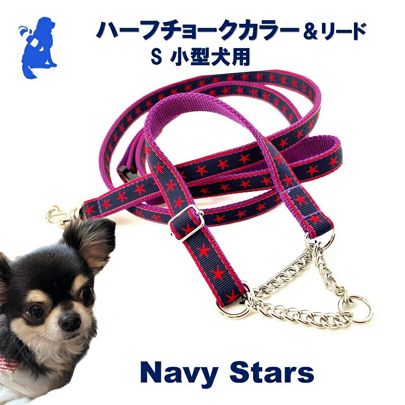 【ふるさと納税】【小型犬用・Sサイズ】 ハーフチョークカラーとリードのセット (ネイビースター) 犬 犬用 小型 ハーフチョーク リード セット 浜松市