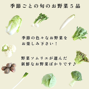 エシカル野菜5種とお米のセット 野菜セット