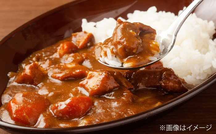 佐賀牛 サイコロステーキ 500g （250g×2P） / 佐賀県 / 織田精肉店 [41ADAB001]