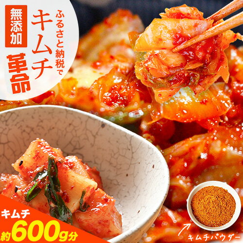 【ふるさと納税】キムチ革命 キムチパウダー お試しパック 1袋入り 60g 選べる袋数 1袋 2袋 3袋 樽の味《30日以内に出荷予定(土日祝除く)》 和歌山県 日高町 キムチ 素 キムチの素 お試し 漬物 唐辛子 簡単 手作り 無添加