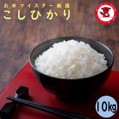 ふるさと納税 銚子市 千葉県産コシヒカリ10kg【お米マイスター厳選】
