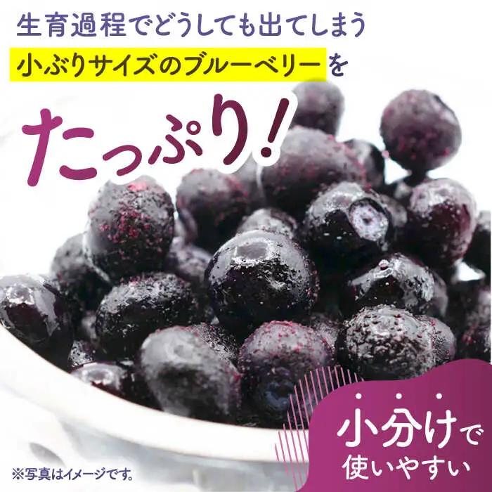 【訳あり】 冷凍ブルーベリー 小粒 約2kg（約500g×4pc） 【すみれファーム】[ZEP047]