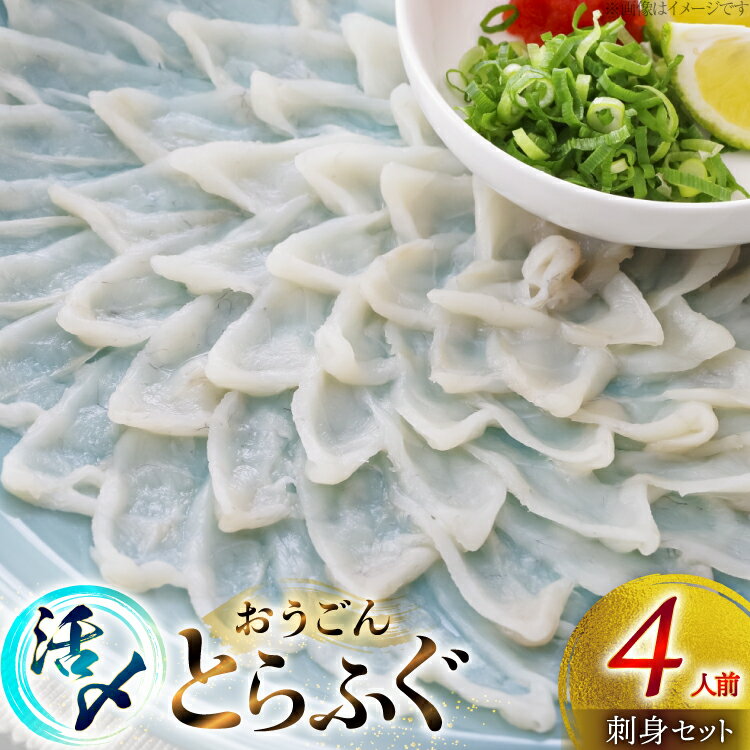 【ふるさと納税】ふぐ 刺身 セット 活〆 おうごんとらふぐ 刺身セット 4人前 [松永水産 長崎県 平戸市 hr42bgy400157] ふぐ刺し とらふぐ フグ 河豚 てっさ 魚介 さかな お刺身 刺身用 さしみ 冷凍 湯引き 海鮮 切り身