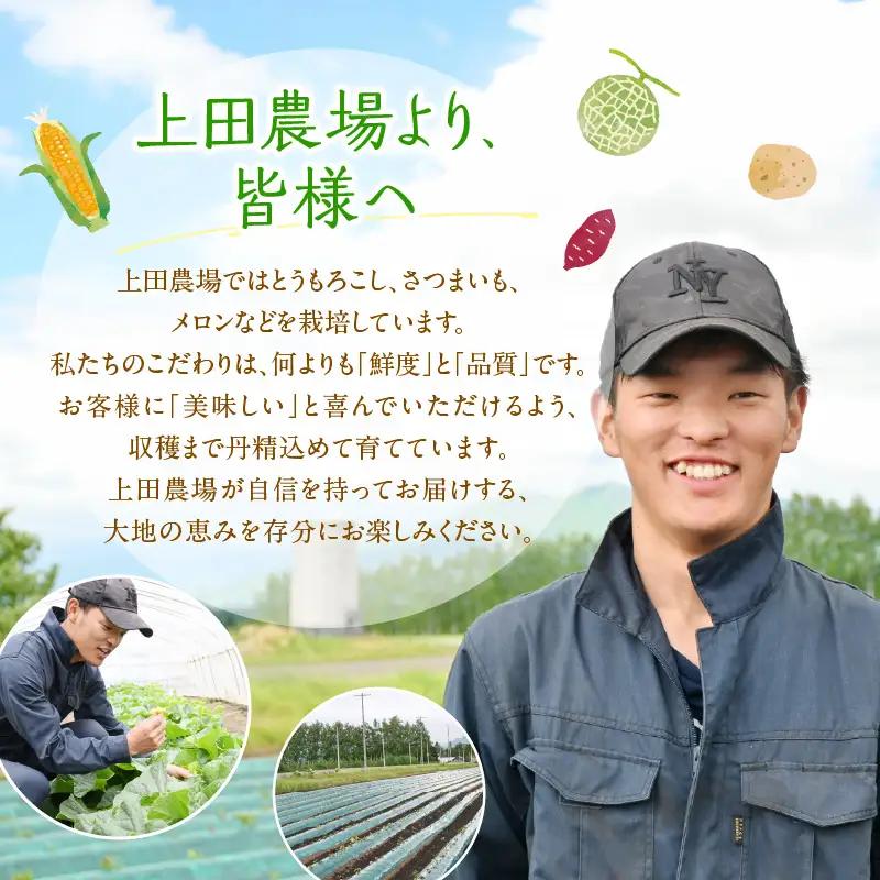 とうもろこし 北海道十勝芽室町 とうもろこし 13本 スイートコーン