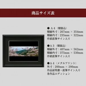 天理の風景1『FLEETING DANCE ～儚い舞～』 A4額装プリント【1712602】