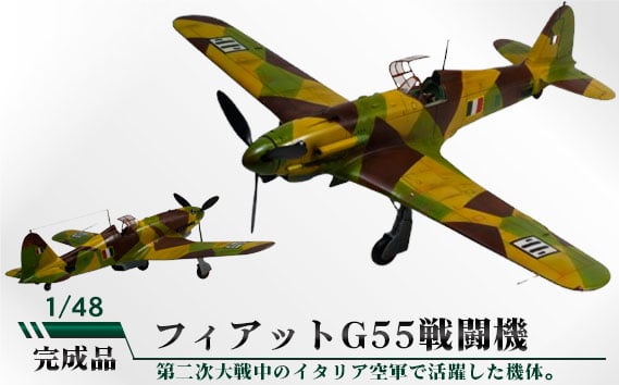 
No.790 フィアットG55戦闘機　1/48 ／ 模型 完成品 柏木崇男 茨城県
