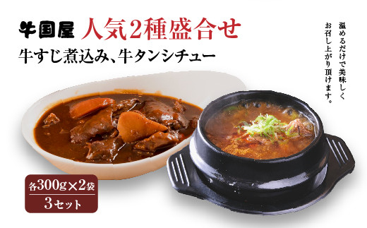 【牛国屋】人気2種盛合せ（牛すじ煮込み、牛タンシチュー）　各300g×2袋×3セット　【11100-0795】